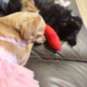 ヒメ日記 2025/06/17 15:42 投稿 ねむ マリン千姫