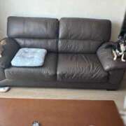 ヒメ日記 2025/06/18 08:56 投稿 ねむ マリン千姫