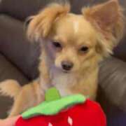 ヒメ日記 2025/06/19 19:26 投稿 ねむ マリン千姫