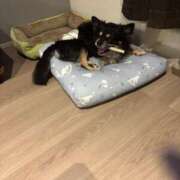 ヒメ日記 2025/06/20 21:56 投稿 ねむ マリン千姫