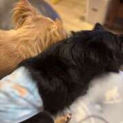 ヒメ日記 2025/06/21 15:36 投稿 ねむ マリン千姫