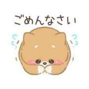 ヒメ日記 2025/06/25 06:56 投稿 ねむ マリン千姫