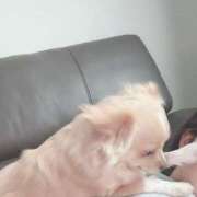 ヒメ日記 2025/06/25 18:44 投稿 ねむ マリン千姫