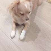 ヒメ日記 2025/06/27 19:46 投稿 ねむ マリン千姫