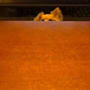 ヒメ日記 2025/07/05 19:36 投稿 ねむ マリン千姫