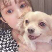 ヒメ日記 2025/07/12 15:06 投稿 ねむ マリン千姫