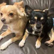 ヒメ日記 2025/07/17 07:07 投稿 ねむ マリン千姫