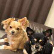 ヒメ日記 2025/08/11 07:19 投稿 ねむ マリン千姫