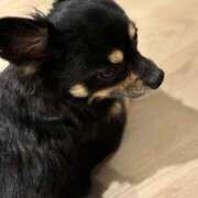 ヒメ日記 2025/08/11 22:36 投稿 ねむ マリン千姫