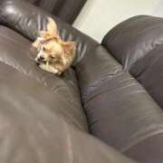 ヒメ日記 2025/08/12 01:06 投稿 ねむ マリン千姫