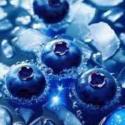 ヒメ日記 2025/08/12 10:06 投稿 ねむ マリン千姫