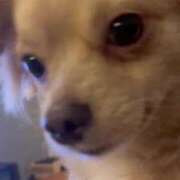 ヒメ日記 2025/08/16 07:24 投稿 ねむ マリン千姫