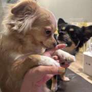 ヒメ日記 2025/08/20 22:02 投稿 ねむ マリン千姫