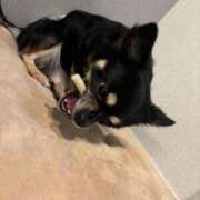 ヒメ日記 2025/08/21 18:29 投稿 ねむ マリン千姫