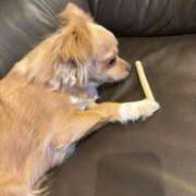 ヒメ日記 2025/08/21 18:31 投稿 ねむ マリン千姫