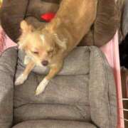 ヒメ日記 2025/08/23 07:48 投稿 ねむ マリン千姫