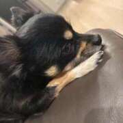 ヒメ日記 2025/08/29 19:02 投稿 ねむ マリン千姫