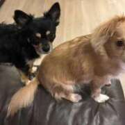 ヒメ日記 2025/08/29 21:02 投稿 ねむ マリン千姫