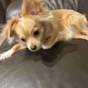 ヒメ日記 2025/08/30 07:12 投稿 ねむ マリン千姫