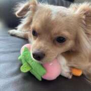 ヒメ日記 2025/08/30 20:35 投稿 ねむ マリン千姫