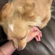 ヒメ日記 2025/09/04 08:35 投稿 ねむ マリン千姫