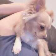 ヒメ日記 2025/09/08 10:22 投稿 ねむ マリン千姫