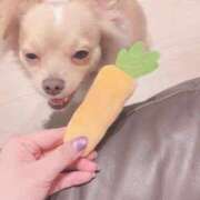 ヒメ日記 2025/09/08 21:12 投稿 ねむ マリン千姫