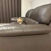 ヒメ日記 2025/09/11 22:10 投稿 ねむ マリン千姫