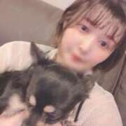 ヒメ日記 2025/09/12 06:32 投稿 ねむ マリン千姫