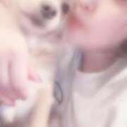 ヒメ日記 2025/09/14 20:14 投稿 ねむ マリン千姫