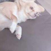 ヒメ日記 2025/09/16 08:42 投稿 ねむ マリン千姫