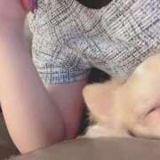 ヒメ日記 2025/09/18 22:22 投稿 ねむ マリン千姫