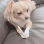 ヒメ日記 2025/09/19 19:42 投稿 ねむ マリン千姫