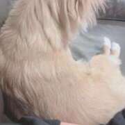 ヒメ日記 2025/09/21 17:31 投稿 ねむ マリン千姫