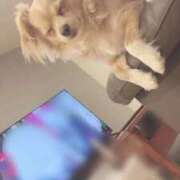 ヒメ日記 2025/09/26 00:12 投稿 ねむ マリン千姫