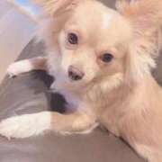 ヒメ日記 2025/09/28 10:22 投稿 ねむ マリン千姫