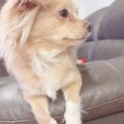 ヒメ日記 2025/09/29 22:12 投稿 ねむ マリン千姫