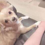 ヒメ日記 2025/10/01 10:52 投稿 ねむ マリン千姫