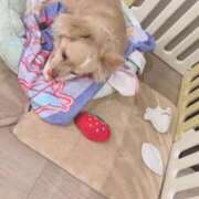 ヒメ日記 2025/10/01 23:48 投稿 ねむ マリン千姫