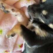 ヒメ日記 2025/10/02 00:22 投稿 ねむ マリン千姫