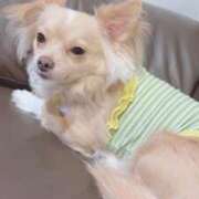 ヒメ日記 2025/10/03 06:32 投稿 ねむ マリン千姫