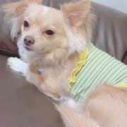 ヒメ日記 2025/10/03 21:53 投稿 ねむ マリン千姫