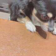 ヒメ日記 2025/10/04 18:02 投稿 ねむ マリン千姫