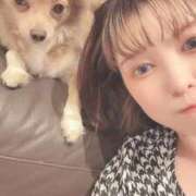 ヒメ日記 2025/10/04 18:22 投稿 ねむ マリン千姫