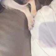 ヒメ日記 2025/10/07 19:32 投稿 ねむ マリン千姫