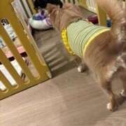 ヒメ日記 2025/10/08 09:10 投稿 ねむ マリン千姫