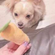 ヒメ日記 2025/10/10 00:52 投稿 ねむ マリン千姫