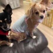 ヒメ日記 2025/10/10 19:22 投稿 ねむ マリン千姫