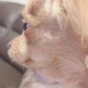 ヒメ日記 2025/10/15 23:42 投稿 ねむ マリン千姫