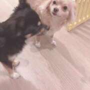 ヒメ日記 2025/10/16 22:12 投稿 ねむ マリン千姫